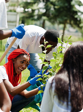 B.Sc. in Health, Safety, Environment & Quality Studies